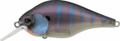 Evergreen International ZR-4 Zeruch Crankbait 18 Evergreen International ZR-4 Zeruch Crankbait -Deals US Rods And Reels Store 40378005520473