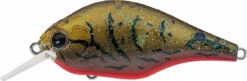 Evergreen International ZR-4 Zeruch Crankbait 20 Evergreen International ZR-4 Zeruch Crankbait -Deals US Rods And Reels Store 40378005586009