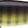 Evergreen International XV-5 X-Over Hybrid Jerk Crankbait -Deals US Rods And Reels Store 40378014924889