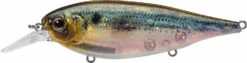 Evergreen International XV-5 X-Over Hybrid Jerk Crankbait -Deals US Rods And Reels Store 40378015023193