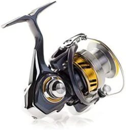 Daiwa Regal LT Spinning Reel -Deals US Rods And Reels Store 418E3HhhrIL. AC