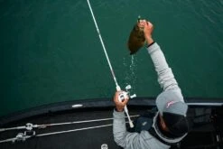 Abu Garcia Veritas Winch Baitcasting Rod -Deals US Rods And Reels Store ABU CASTING ROD VERITAS PLX WINCH LIFESTYLE 2021 005