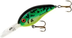 Bomber Fat Free Shad Jr. 2 1/2 Inch Deep Diving Crankbait -Deals US Rods And Reels Store BD6FDFT
