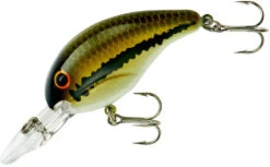 Bandit 200 Series Medium Diving Crankbait -Deals US Rods And Reels Store BDT201