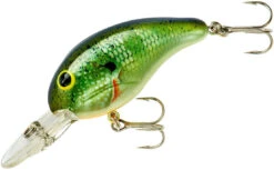 Bandit 200 Series Medium Diving Crankbait -Deals US Rods And Reels Store BDT2B38