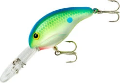 Bandit 300 Series Deep Diving Crankbait -Deals US Rods And Reels Store BDT3D01