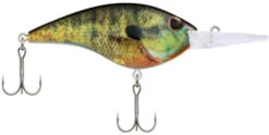 Berkley Frittside Medium Diving Flat Sided Crankbait -Deals US Rods And Reels Store Berkley Frittside HDBluegill 9 alt2