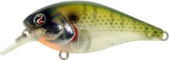 River2Sea Biggie Smalls Bumpin' Rattle Fast Squarebill -Deals US Rods And Reels Store Biggie28Bluegill 370b56ee 5e7d 448d 8b77 a47cfb53650b