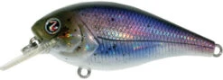 River2Sea Biggie Smalls Bumpin' Rattle Fast Squarebill -Deals US Rods And Reels Store Biggie41HickoryShad 9b540c1f fafb 40af 8151 40e24835f059