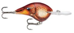 Rapala DT Series Crankbait DT10 -Deals US Rods And Reels Store Blaze 6530efa1 9edd 4406 ab44 c469da42abe6