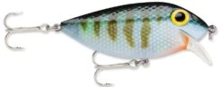 Storm Original Thinfin 06 Shallow-Medium Diving Crankbait -Deals US Rods And Reels Store Bluegill 979add9f 4cd5 4303 a1d8 e019b6c4da9e