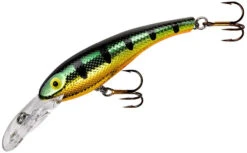 Cotton Cordell Wally Diver Crankbait -Deals US Rods And Reels Store CD695