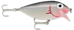Storm Original Thinfin 06 Shallow-Medium Diving Crankbait -Deals US Rods And Reels Store Dracula 5e21a2ad 5d67 4142 8ab7 b3148d39db31