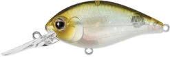 Evergreen International CR-8 Medium Diving Crankbait -Deals US Rods And Reels Store Evergreen CR 420 77d2a30f 06a8 4b3a 9311 731ac643c662