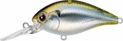 Evergreen International CR-8 Medium Diving Crankbait -Deals US Rods And Reels Store Evergreen CR 426 989914fb d891 42a1 89fe c834537ecc2c
