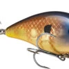 Strike King KVD 2.5 Wake Bait Waking Crankbait -Deals US Rods And Reels Store HCKVD2.5W 622