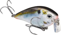 Strike King KVD 2.5 Wake Bait Waking Crankbait -Deals US Rods And Reels Store HCKVD2.5W 699