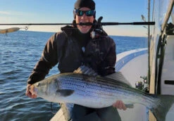 Nomad Design Inshore Spinning Rod -Deals US Rods And Reels Store Inshore Spin