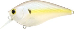 Lucky Craft LC 2.5 Shallow Squarebill Crankbait -Deals US Rods And Reels Store LC 2 5 250CRSD