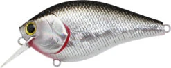 Lucky Craft LC 2.5 Shallow Squarebill Crankbait -Deals US Rods And Reels Store LC 2 5 419BPGSN