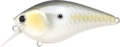 Lucky Craft LC 2.5 Shallow Squarebill Crankbait -Deals US Rods And Reels Store LC 2 5 426GTFSD