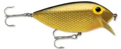 Storm Original Thinfin 08 Shallow-Medium Diving Crankbait -Deals US Rods And Reels Store Metallic Gold Black bd0eb354 2ec7 4e02 9380 d461175e25e6