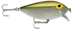 Storm Original Thinfin 06 Shallow-Medium Diving Crankbait -Deals US Rods And Reels Store Metallic Silver Gold 0b9072b5 bce7 4081 b0d4 cfe99f82b181