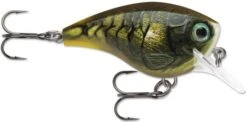 Rapala BX Brat 06 Square Bill Crankbait 26 Rapala BX Brat 06 Square Bill Crankbait -Deals US Rods And Reels Store Mossy e897e724 b4d8 4255 880b 9366429775b2