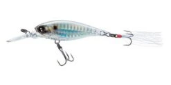 Yo-Zuri 3DB Shad Suspending 2 3/4 Inch Medium Diving Crankbait -Deals US Rods And Reels Store R1104 PGSH 8a8b6a98 1d94 4201 91ac e80989fdea19