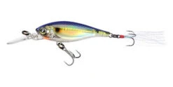 Yo-Zuri 3DB Shad Suspending 2 3/4 Inch Medium Diving Crankbait -Deals US Rods And Reels Store R1104 PSSH ef3cd8b3 fdfc 4e87 9845 fc2677861e37