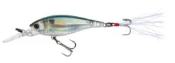 Yo-Zuri 3DB Shad Suspending 2 3/4 Inch Medium Diving Crankbait -Deals US Rods And Reels Store R1104 RGZS
