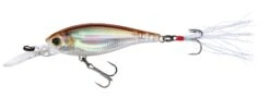 Yo-Zuri 3DB Shad Suspending 2 3/4 Inch Medium Diving Crankbait -Deals US Rods And Reels Store R1104 RSM