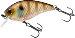 Yo-Zuri 3DB Crank 1.5 Shallow Squarebill Crankbait -Deals US Rods And Reels Store R1352 NBG