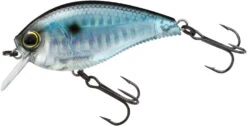 Yo-Zuri 3DB Crank 1.5 Shallow Squarebill Crankbait -Deals US Rods And Reels Store R1352 PSH