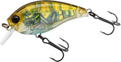 Yo-Zuri 3DB Crank 1.5 Shallow Squarebill Crankbait -Deals US Rods And Reels Store R1352 RGCF 3b22e7e7 3013 47a9 ab9b 704f1315e13a