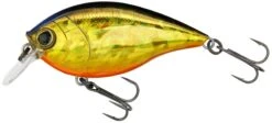 Hardcore Crank SR 65F Shallow Squarebill Crankbait -Deals US Rods And Reels Store R1363 HGSN