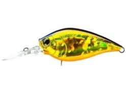 Hardcore Crank MR 60F Medium Crankbait -Deals US Rods And Reels Store R1364 HGSN