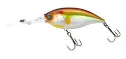 Hardcore Crank 75F 4+ Deep Diving Crankbait -Deals US Rods And Reels Store R1377 CRANK 4 75F MGSA