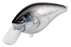SPRO Hunter 65 SB Shallow Squarebill Crankbait 36 SPRO Hunter 65 SB Shallow Squarebill Crankbait -Deals US Rods And Reels Store SEHTRSB65BKS BlackSilver ff4db184 89b1 419a 92e9 d328b86c6dd0