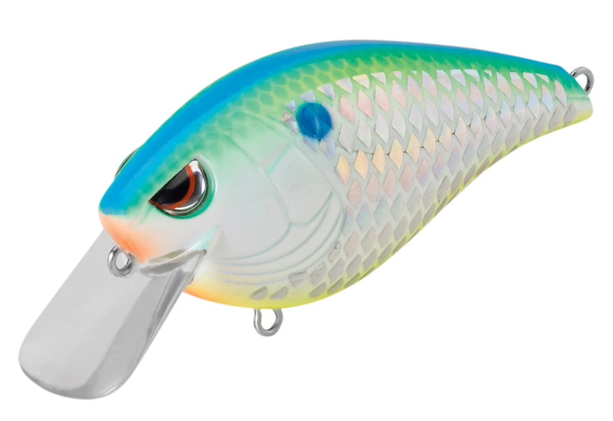 SPRO Hunter 65 SB Shallow Squarebill Crankbait 20 SPRO Hunter 65 SB Shallow Squarebill Crankbait - Image 18