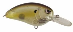 SPRO John Crews Little John MD 50 Crankbait 31 SPRO John Crews Little John MD 50 Crankbait -Deals US Rods And Reels Store SLJM50CCH ClearChartreuse