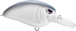 SPRO John Crews Little John MD 50 Crankbait 34 SPRO John Crews Little John MD 50 Crankbait -Deals US Rods And Reels Store SLJM50LVS LavenderShad bc92fc99 ed28 4f91 97b0 63dd1c026014