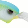 SPRO Outsider DD 80 Crankbait