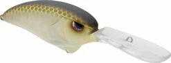 SPRO Outsider DD 80 Crankbait -Deals US Rods And Reels Store SOSCDD80RVG RiverGold