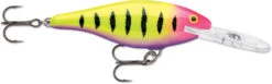 Rapala Shad Rap 2 1/2 Inch Medium Diving Crankbait SR06 31 Rapala Shad Rap 2 1/2 Inch Medium Diving Crankbait SR06 -Deals US Rods And Reels Store SR06HSP 261199b0 2f53 4cbd 974b e01196f8cc9b