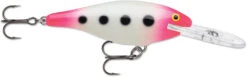 Rapala Shad Rap 3 1/2 Inch Deep Diving Crankbait SR09 -Deals US Rods And Reels Store SR09GPSQ 5bed2d28 c078 4539 a2b3 5b811263d2a8