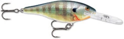 Rapala Shad Rap 2 1/2 Inch Medium Diving Crankbait SR06 25 Rapala Shad Rap 2 1/2 Inch Medium Diving Crankbait SR06 -Deals US Rods And Reels Store SR BG 9b8dd613 404b 4488 960c 7161922af8f3