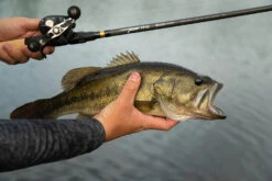 Temple Fork Outfitters Tactical Bass Baitcasting Rods -Deals US Rods And Reels Store Tactical Bass Bottom Banner Lifestlye 1 58dad5a5 5cde 4d45 abec 10983a08d6d8