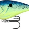 13 Fishing Warthog Squarebill Crankbait -Deals US Rods And Reels Store W60 4 31