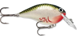 Rapala DT Series Crankbait DT4 -Deals US Rods And Reels Store bleeding olive shiner b6263b92 6a43 45af 9691 3e5bd20a5503